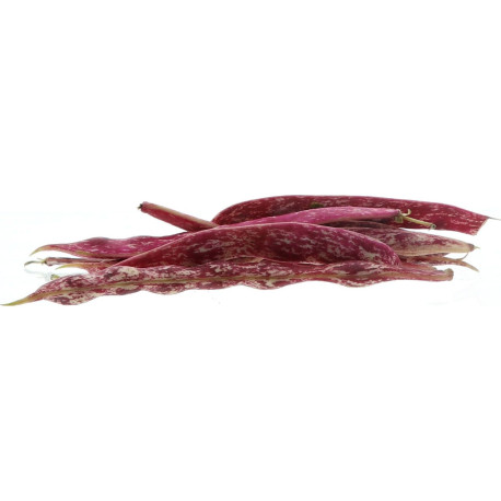 HARICOT BORLOTTI 5KG